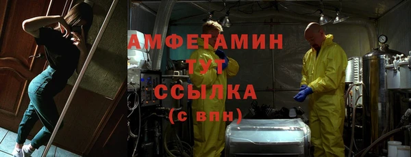 ECSTASY Ельня