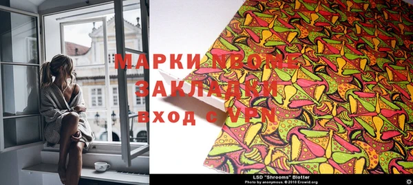 ECSTASY Ельня