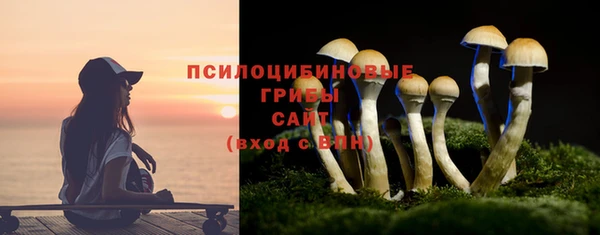 хмурый Елизово