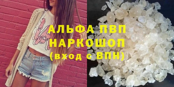 ECSTASY Ельня