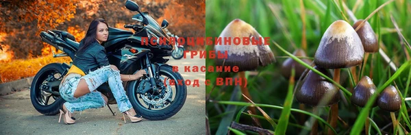 мефедрон мука Елабуга